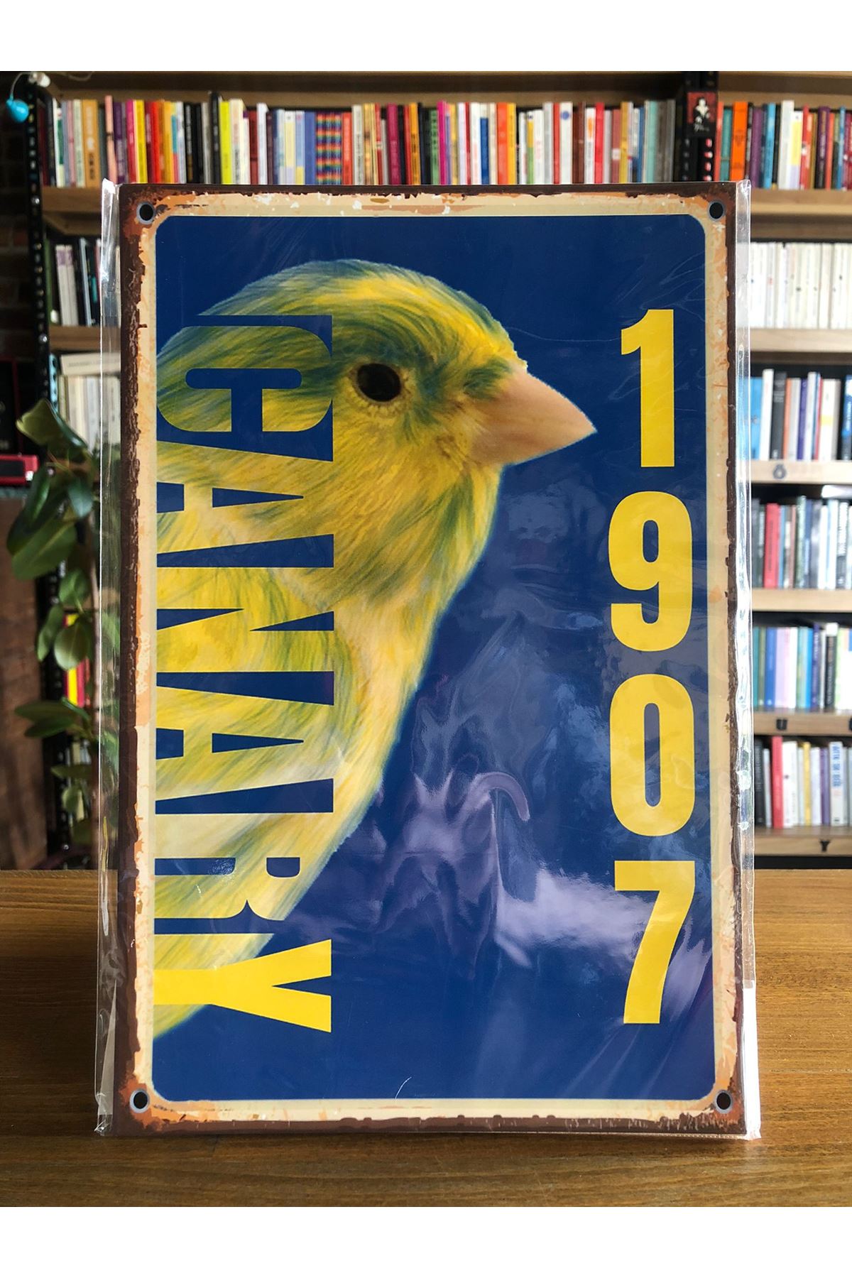 1907 CANARY - AHŞAP POSTER