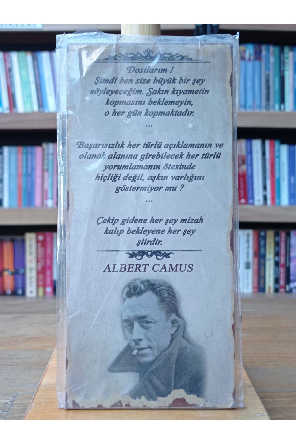 ALBER CAMUS - MİDİ POSTER