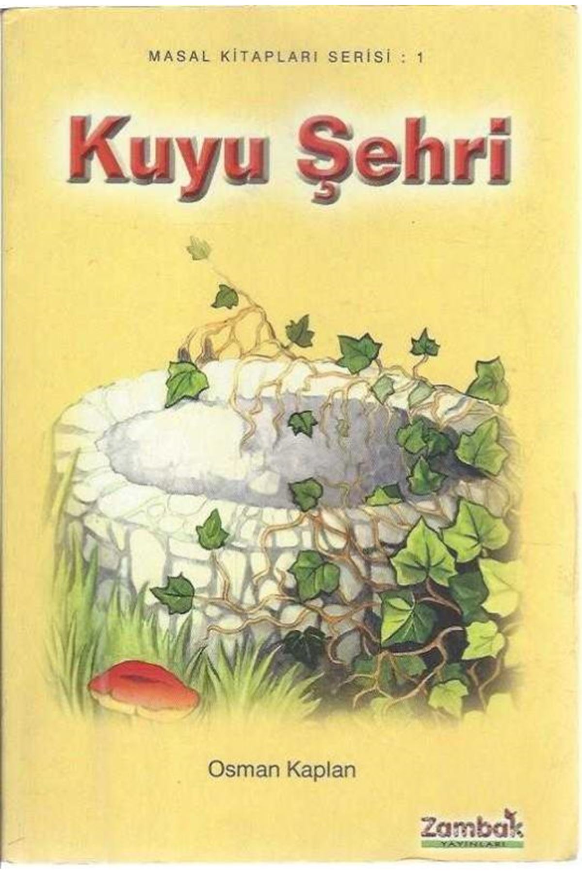 Osman Kaplan - Kuyu Şehiri