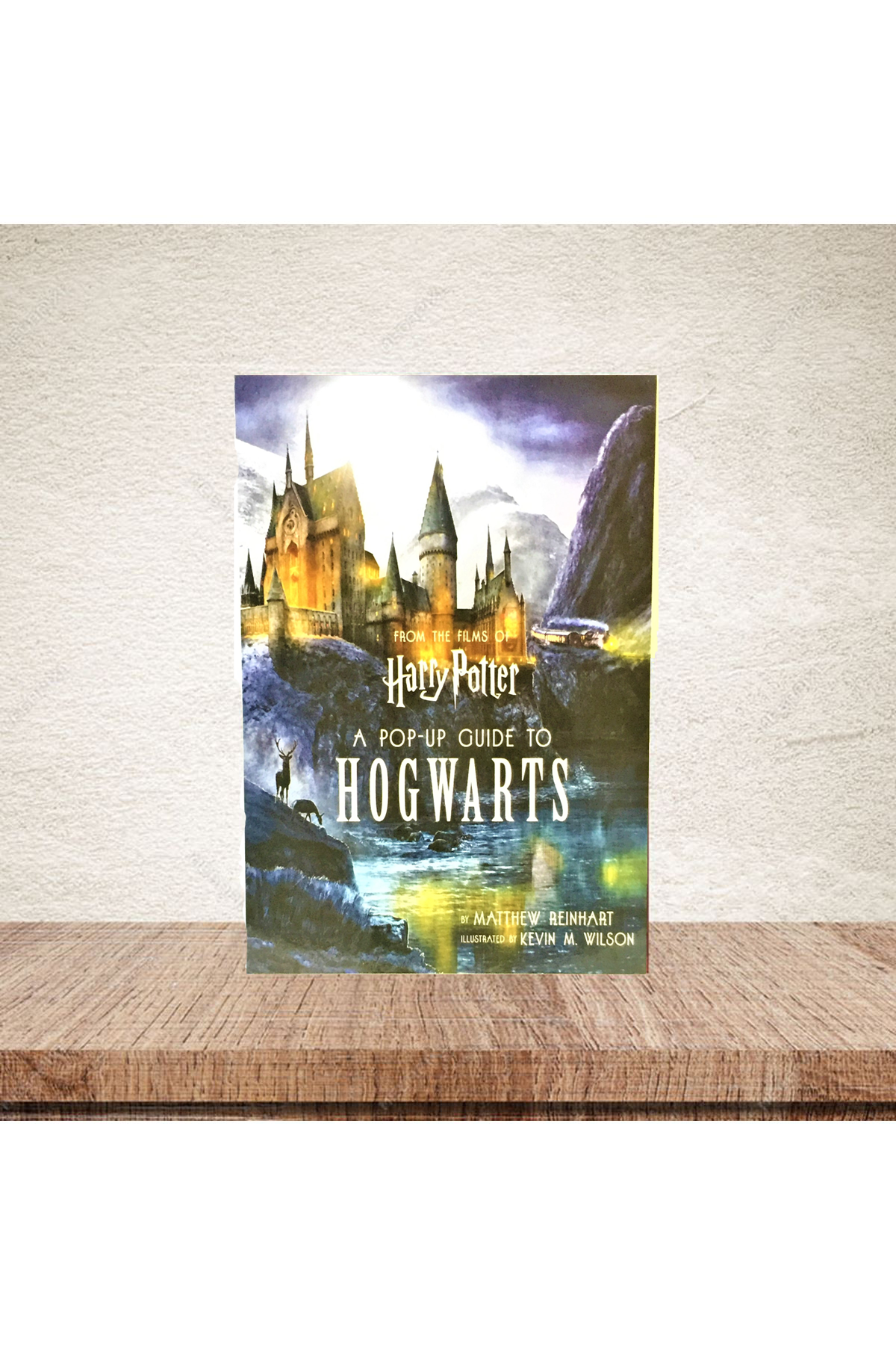 Harry Potter Afiş - Ahşa Poster
