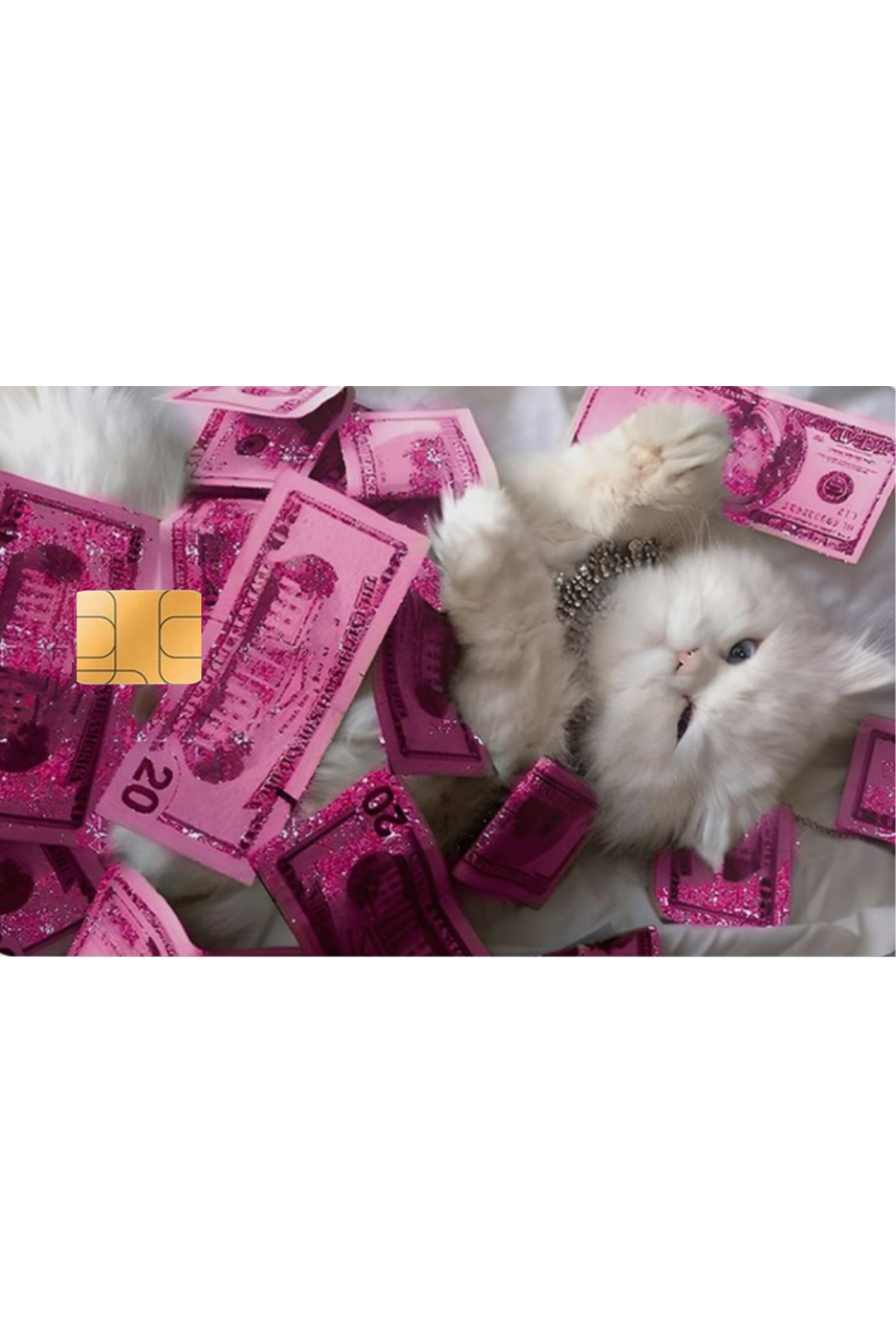 Kredi Kartı Sticker - Dolarlar Ve Kediler