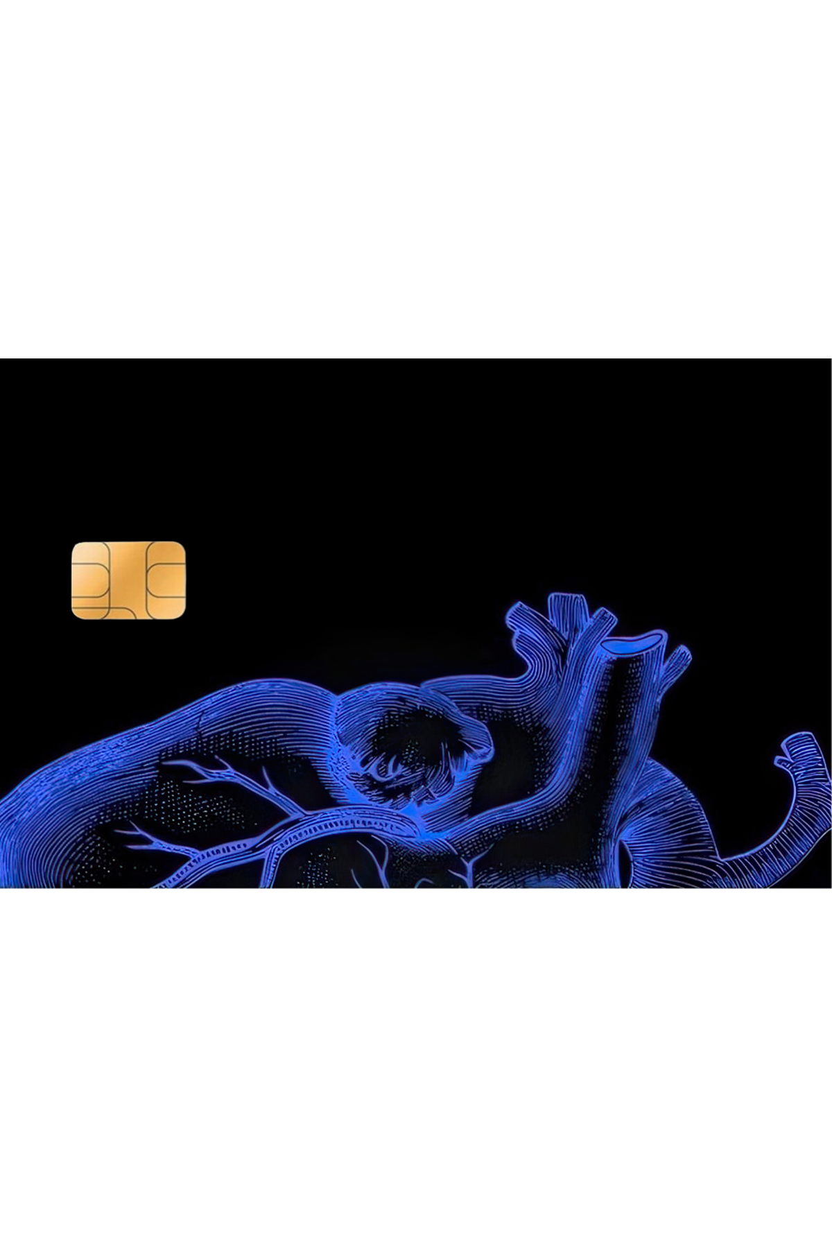 Kredi Kartı Sticker -  Mavi kalp